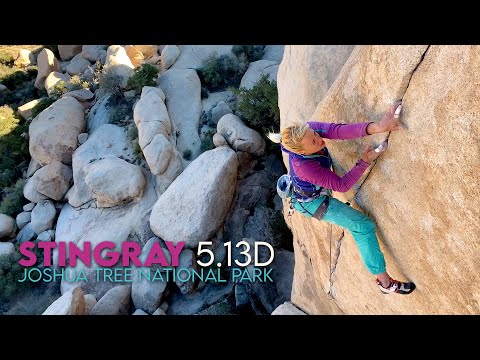 Stingray 5.13d